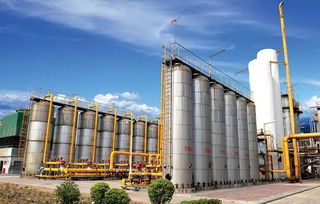 慶祝新中國成立70周年 平煤神馬集團11個化工新材料重點項目集中開竣工