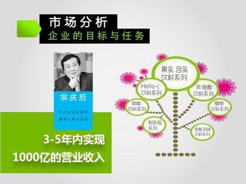市場營銷策劃方案精簡版 增長與連接